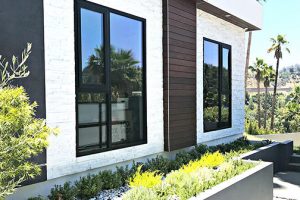 Window Film